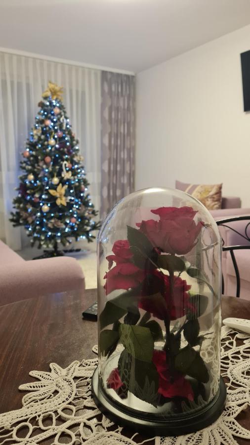 Apartament Violeta Gura Humorului Kültér fotó